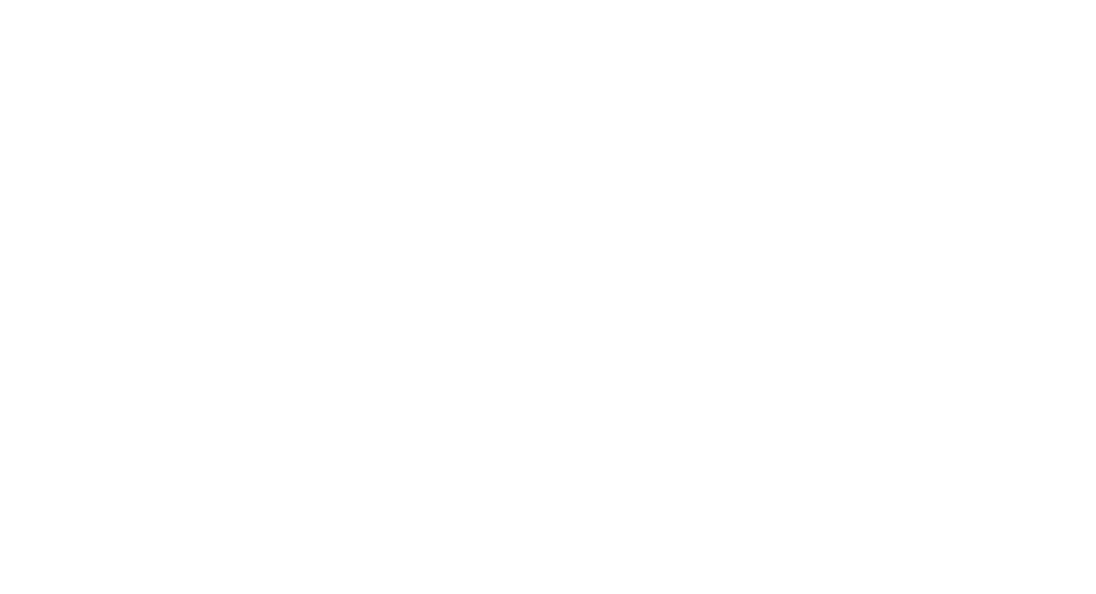 THE ROOM HOMANN CONCEPT